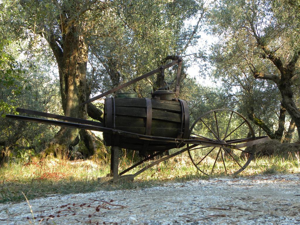 Fattoria Di Camporomano マッサローザ エクステリア 写真
