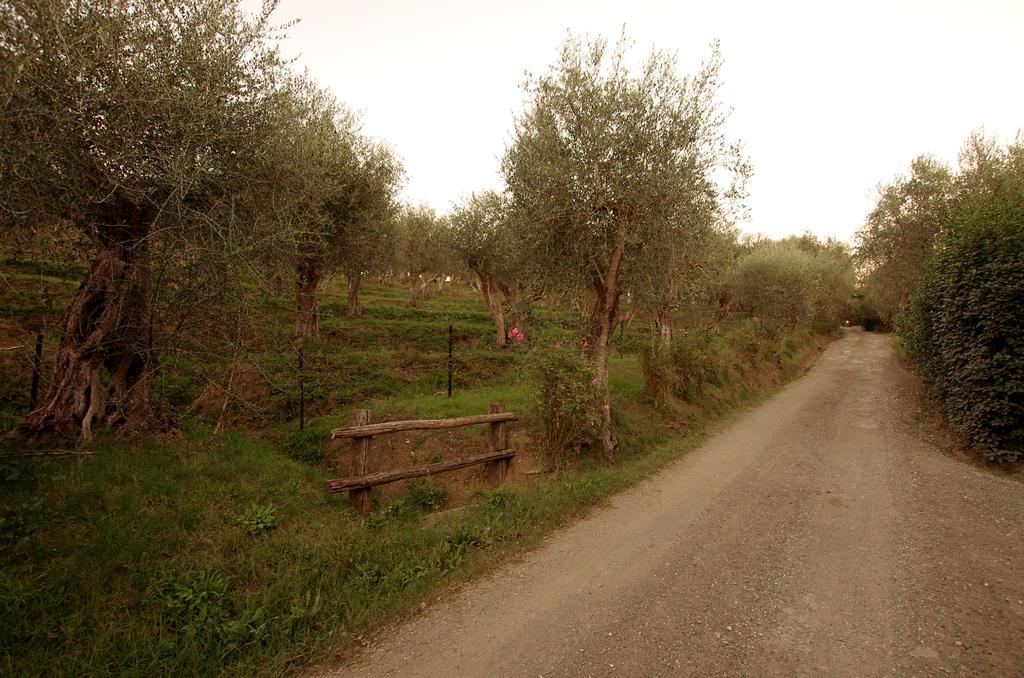Fattoria Di Camporomano マッサローザ エクステリア 写真