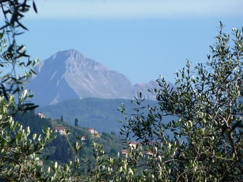 Fattoria Di Camporomano マッサローザ エクステリア 写真
